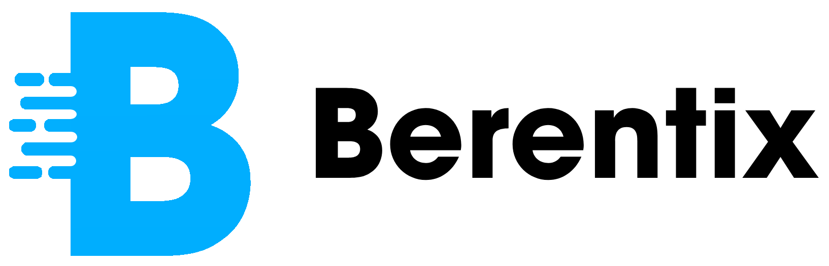 Berentix Holding Logo Dark