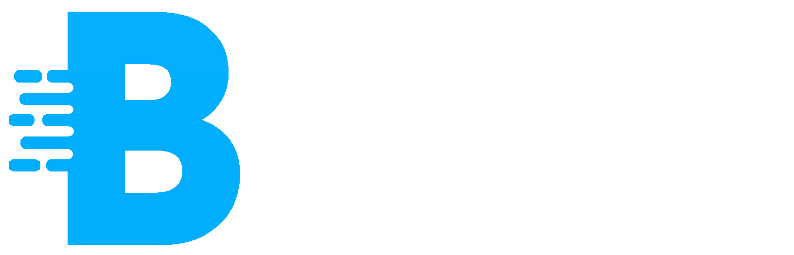 Berentix Holding Logo
